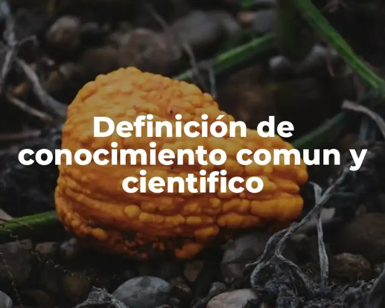 Definición de conocimiento comun y cientifico