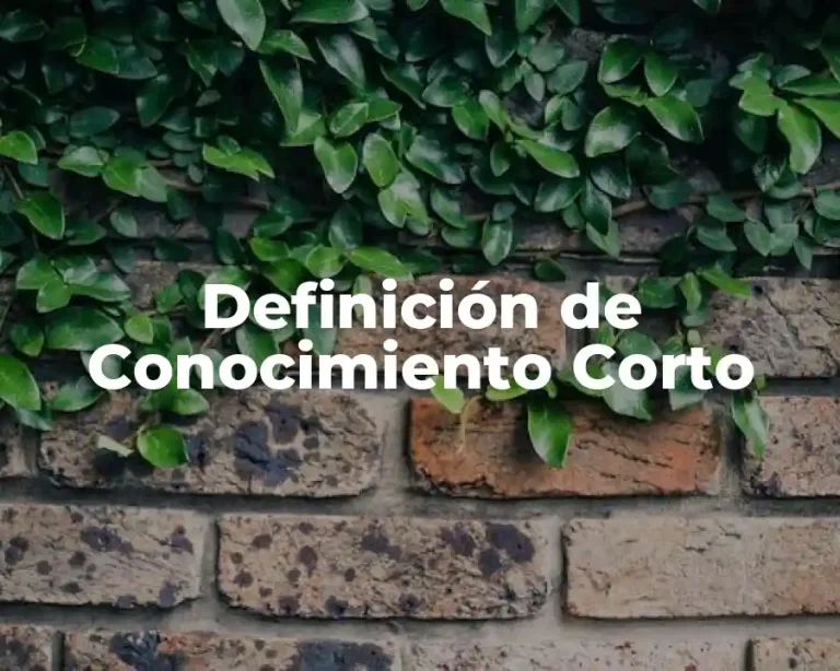Definición de Conocimiento Corto