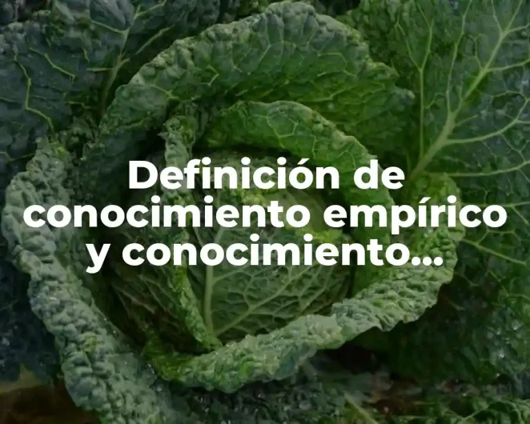 Definición de conocimiento empírico y conocimiento científico
