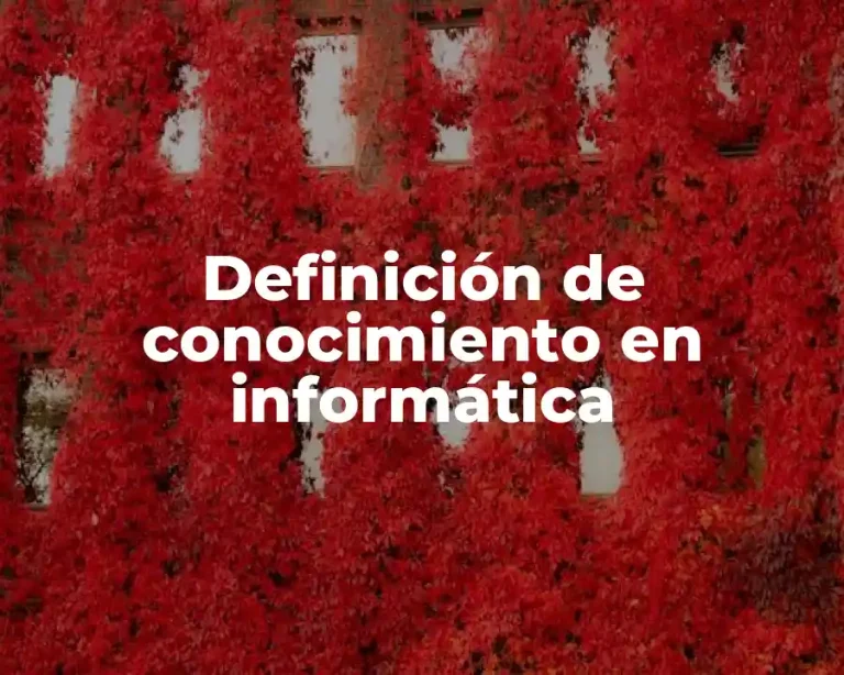 Definición de conocimiento en informática