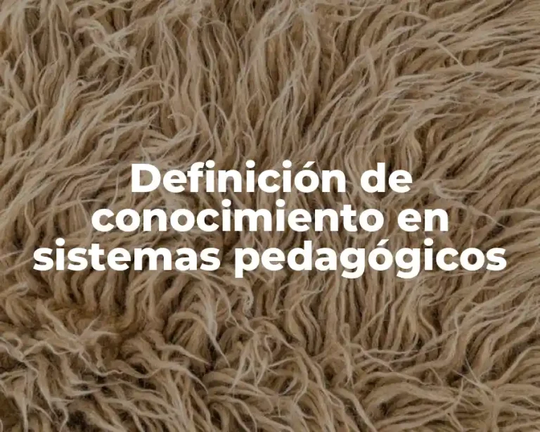 Definición de conocimiento en sistemas pedagógicos