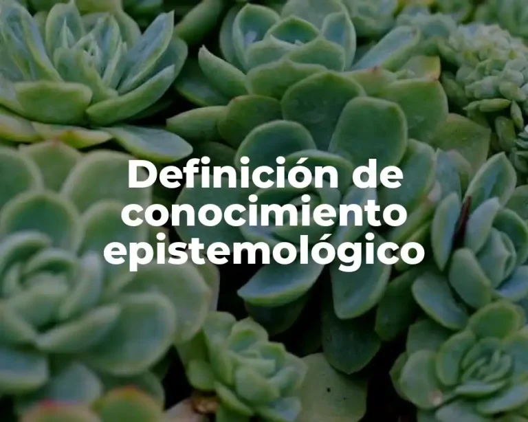 Definición de conocimiento epistemológico