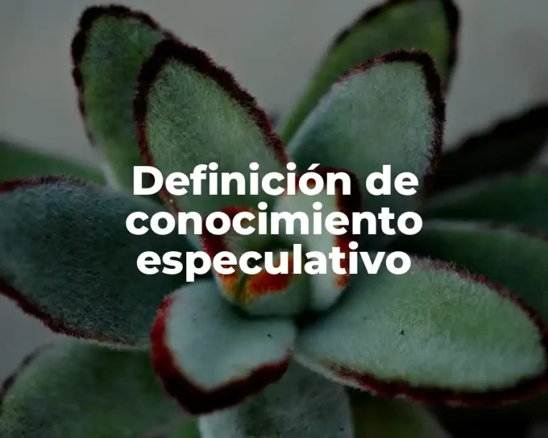 Definición de conocimiento especulativo