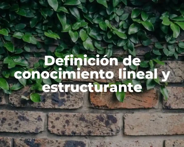 Definición de conocimiento lineal y estructurante