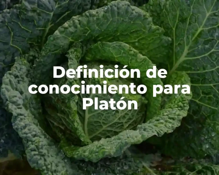 Definición de conocimiento para Platón