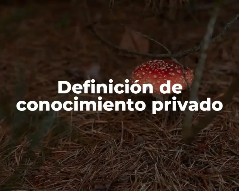 Definición de conocimiento privado