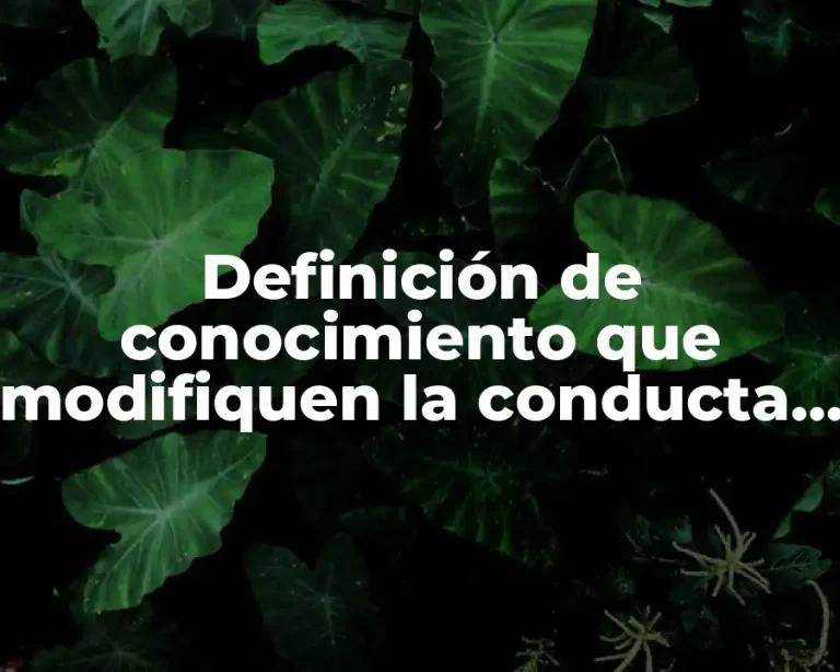 Definición de conocimiento que modifiquen la conducta del sujeto