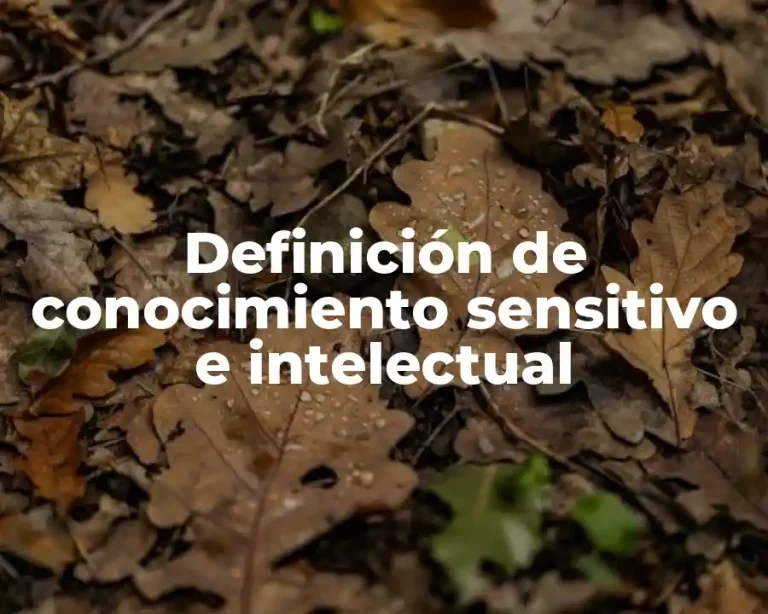Definición de conocimiento sensitivo e intelectual
