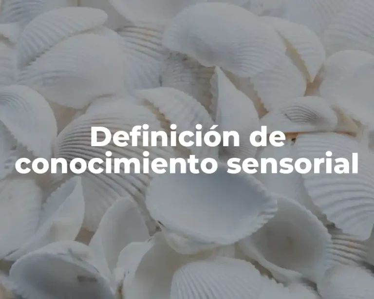 Definición de conocimiento sensorial