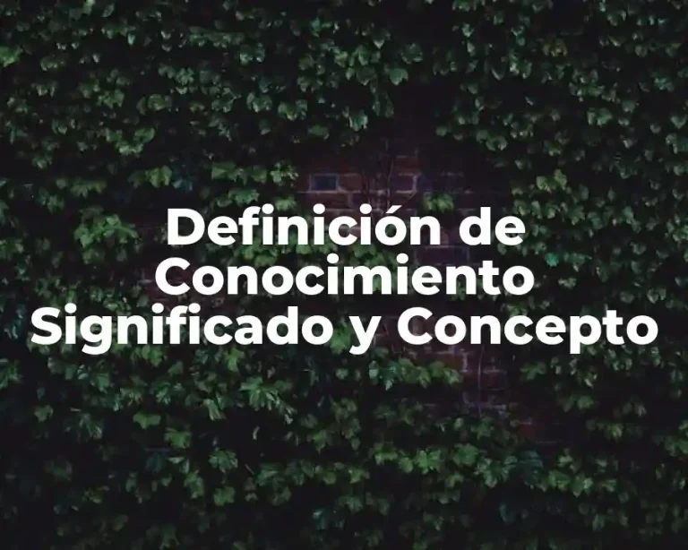 Definición de Conocimiento Significado y Concepto
