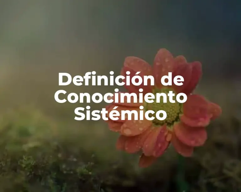 Definición de Conocimiento Sistémico