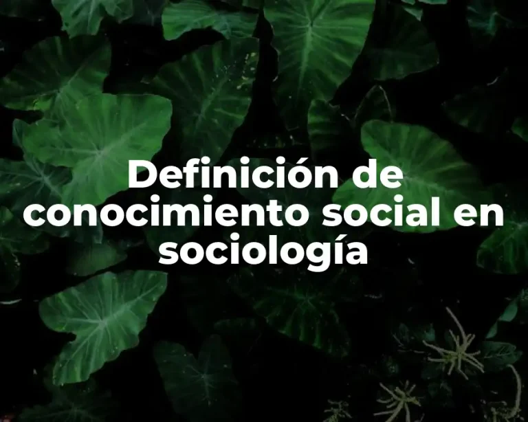 Definición de conocimiento social en sociología