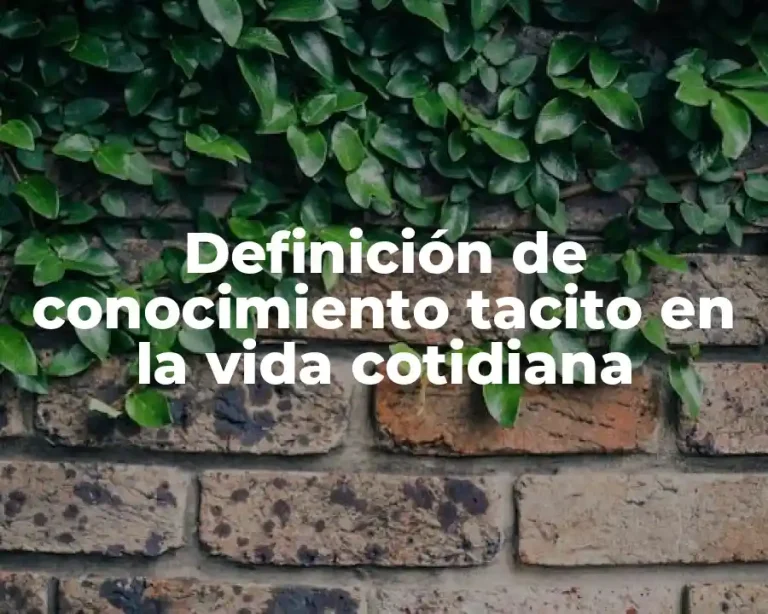 Definición de conocimiento tacito en la vida cotidiana