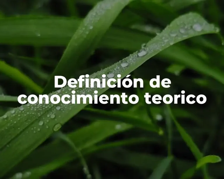 Definición de conocimiento teorico
