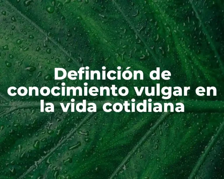 Definición de conocimiento vulgar en la vida cotidiana