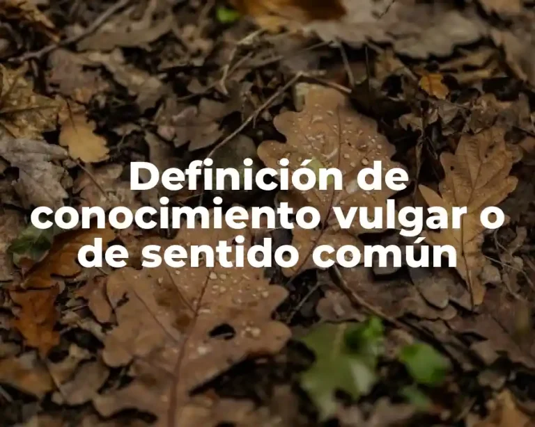 Definición de conocimiento vulgar o de sentido común