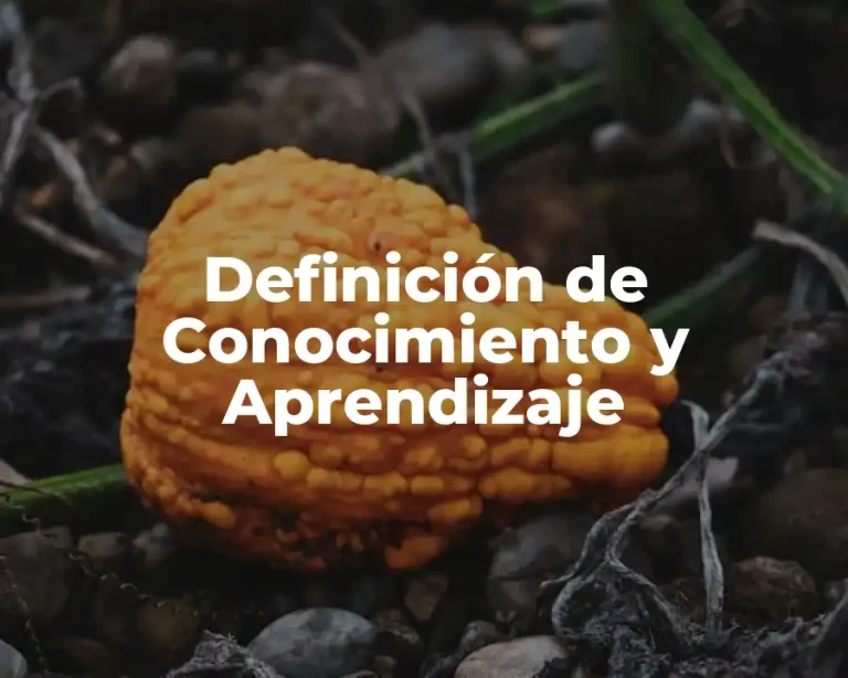 Definición de Conocimiento y Aprendizaje