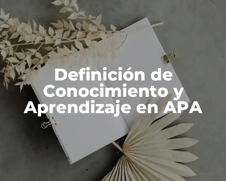 Definición de Conocimiento y Aprendizaje en APA