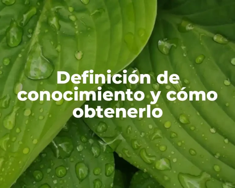 Definición de conocimiento y cómo obtenerlo