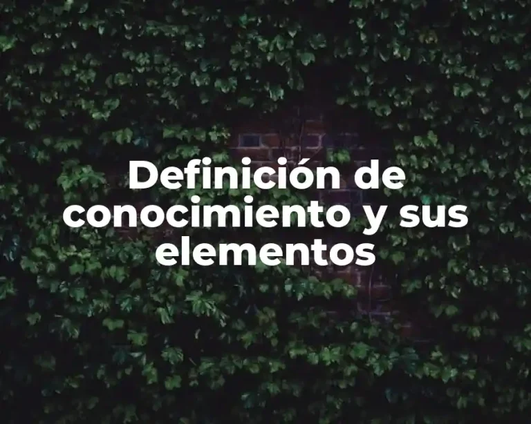 Definición de conocimiento y sus elementos