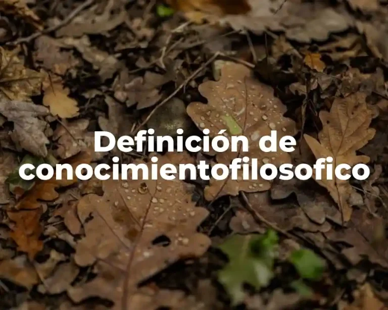 Definición de conocimientofilosofico