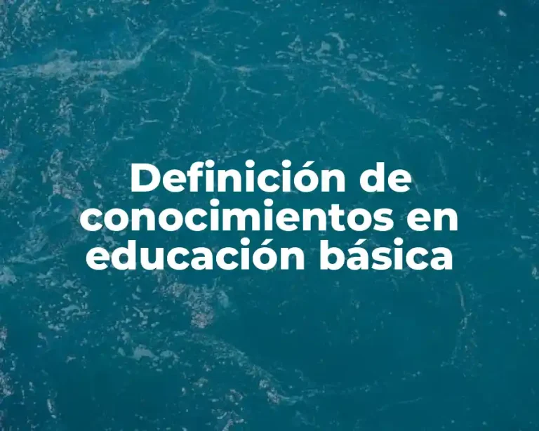 Definición de conocimientos en educación básica