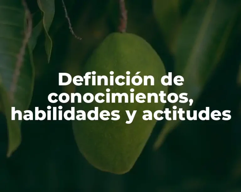 Definición de conocimientos, habilidades y actitudes