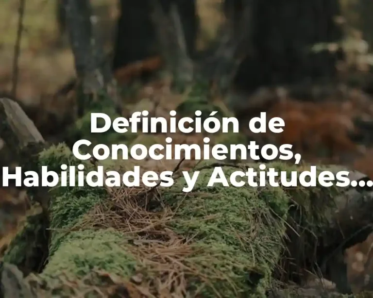 Definición de Conocimientos, Habilidades y Actitudes en Libros