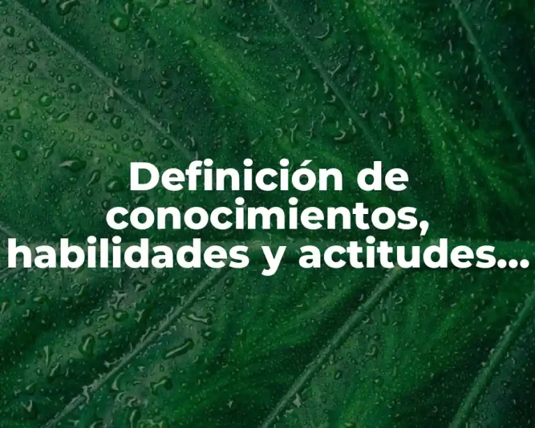Definición de conocimientos, habilidades y actitudes para una empresa