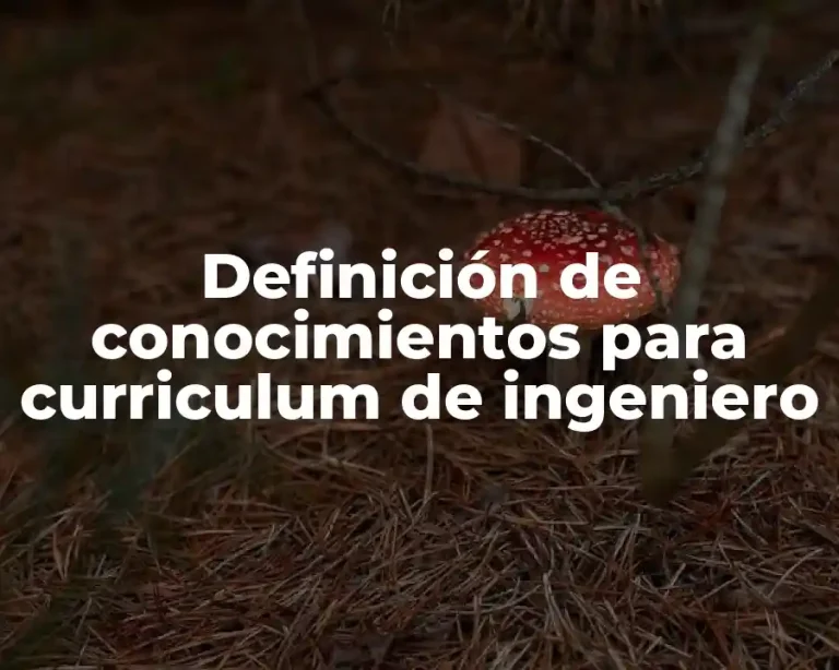 Definición de conocimientos para curriculum de ingeniero