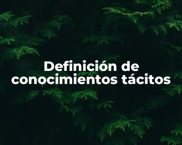 Definición de conocimientos tácitos