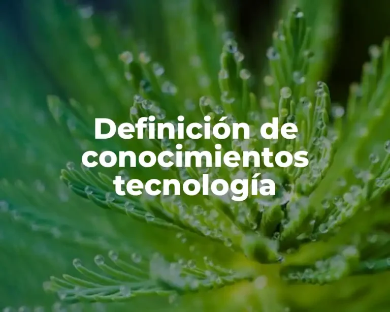Definición de conocimientos tecnología