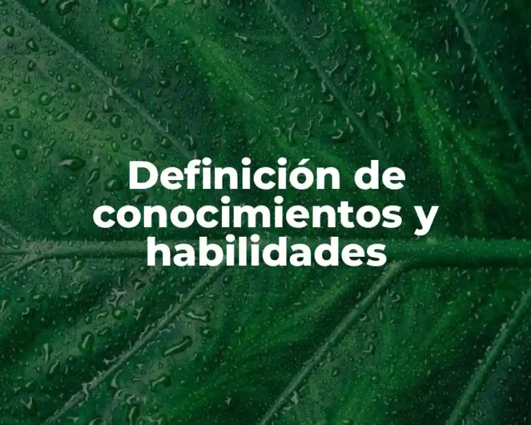 Definición de conocimientos y habilidades