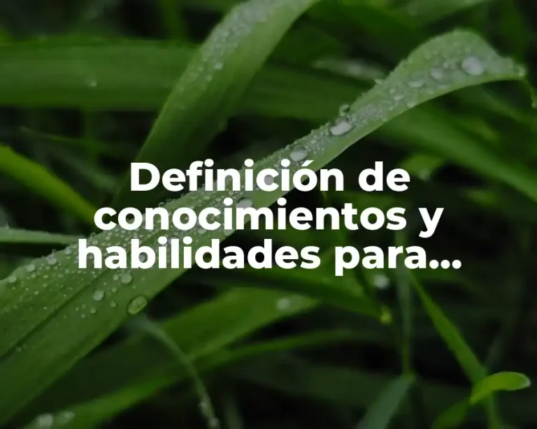 Definición de conocimientos y habilidades para currículum