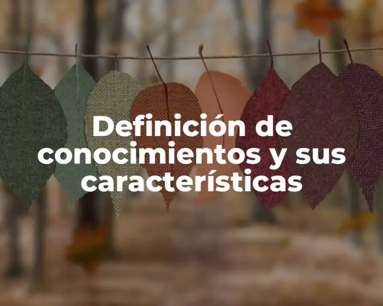 Definición de conocimientos y sus características