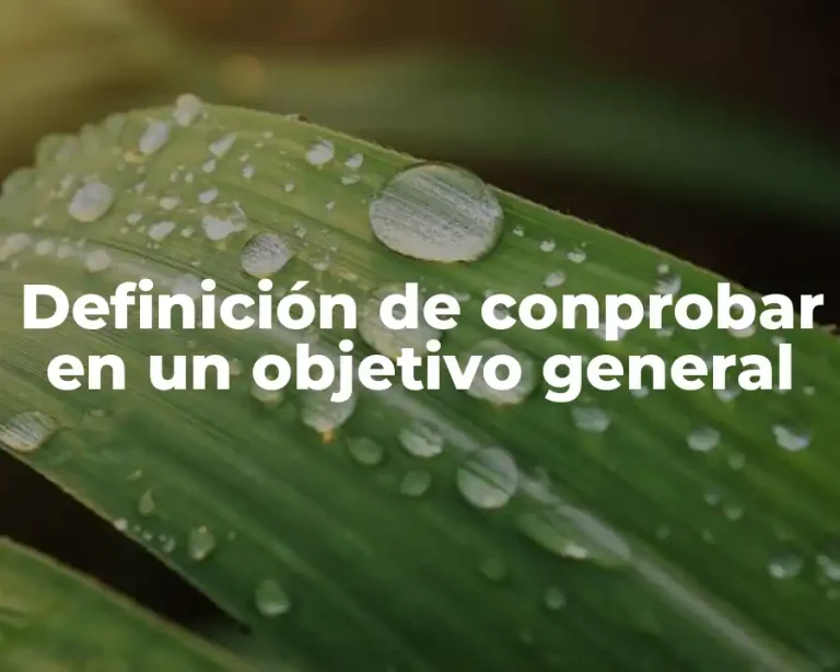 Definición de conprobar en un objetivo general