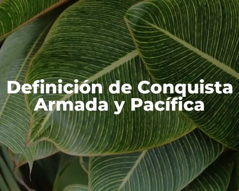 Definición de Conquista Armada y Pacífica