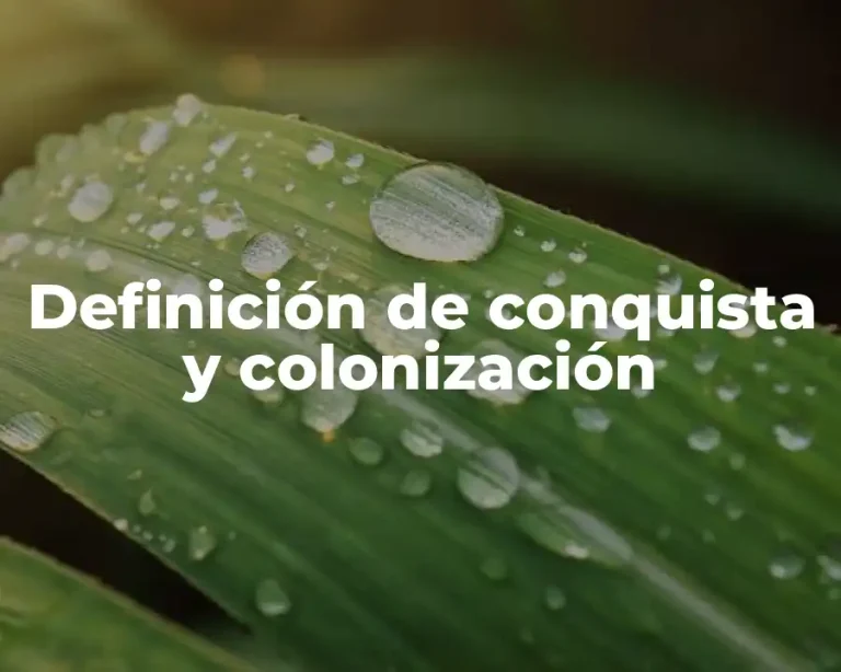 Definición de conquista y colonización