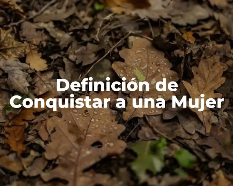 Definición de Conquistar a una Mujer