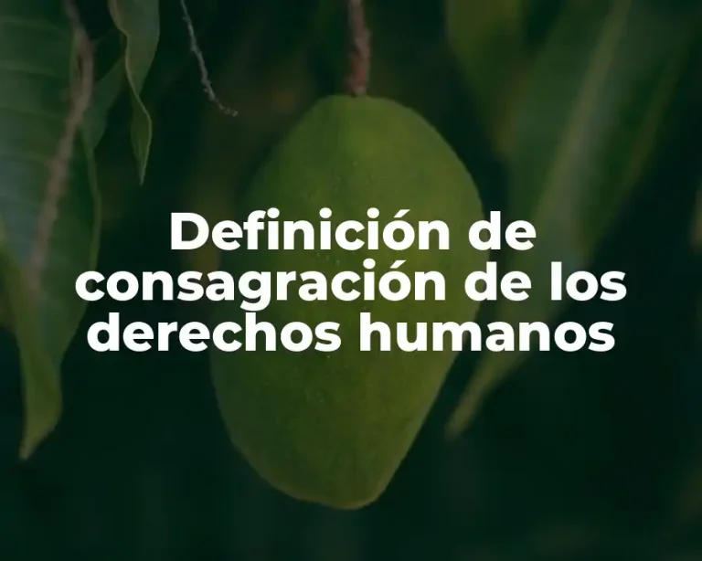 Definición de consagración de los derechos humanos