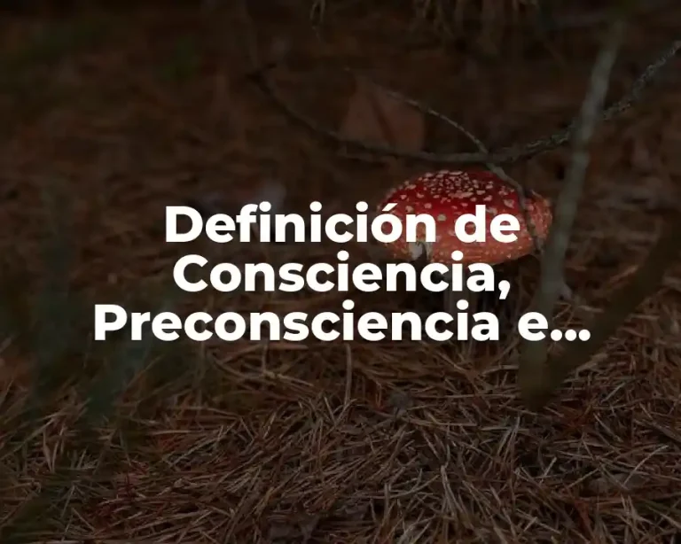 Definición de Consciencia, Preconsciencia e Inconsciencia