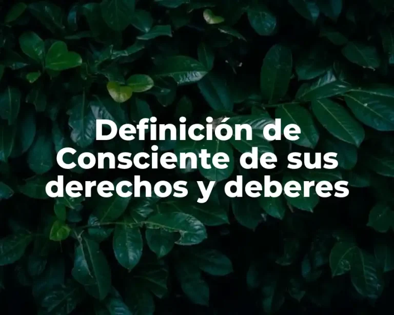 Definición de Consciente de sus derechos y deberes