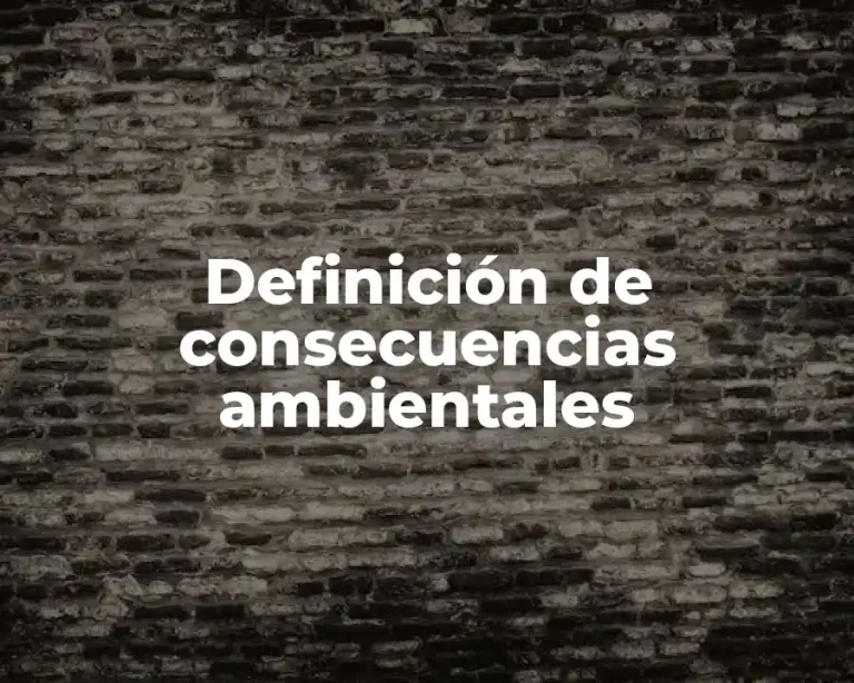 Definición de consecuencias ambientales