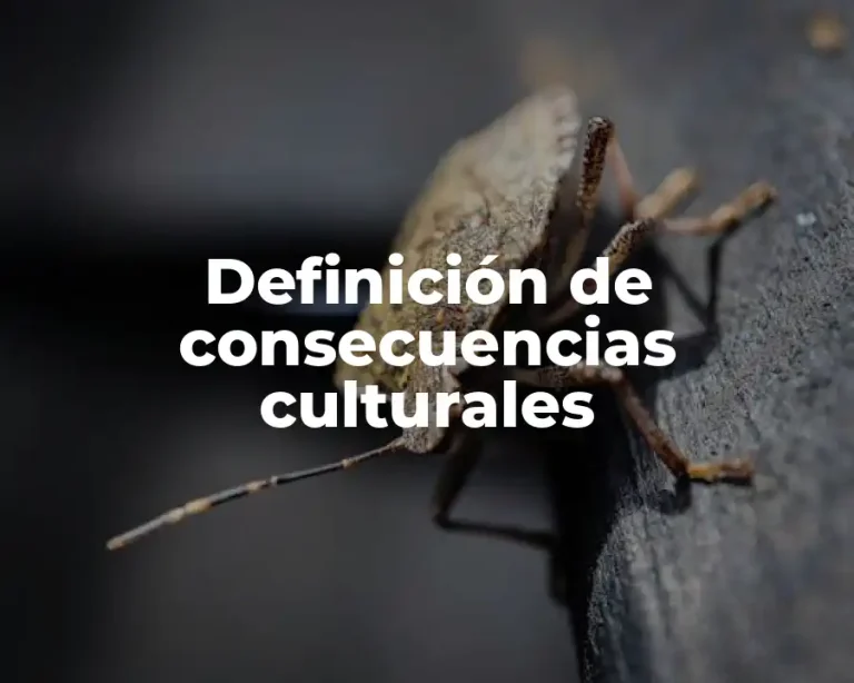 Definición de consecuencias culturales