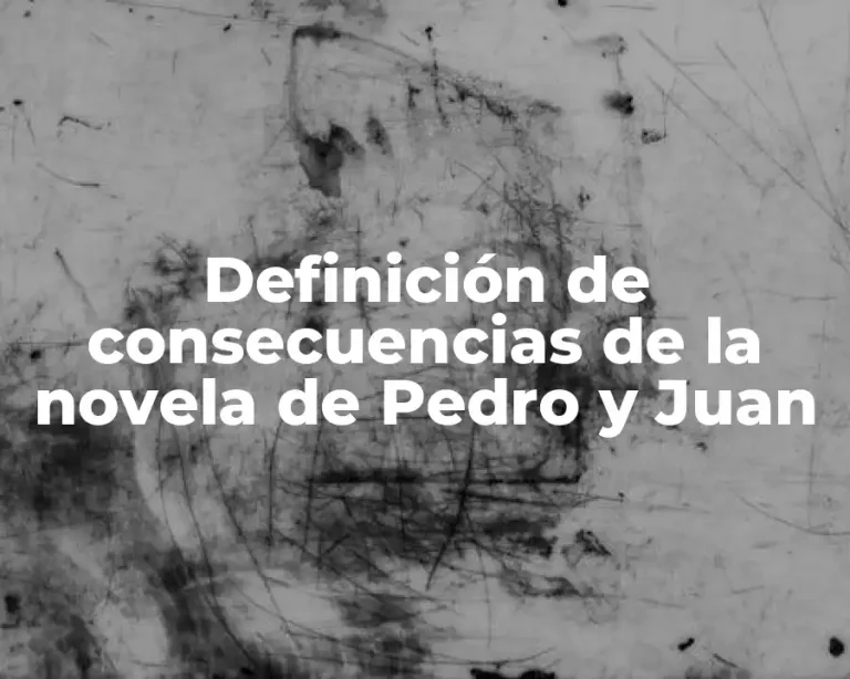 Definición de consecuencias de la novela de Pedro y Juan