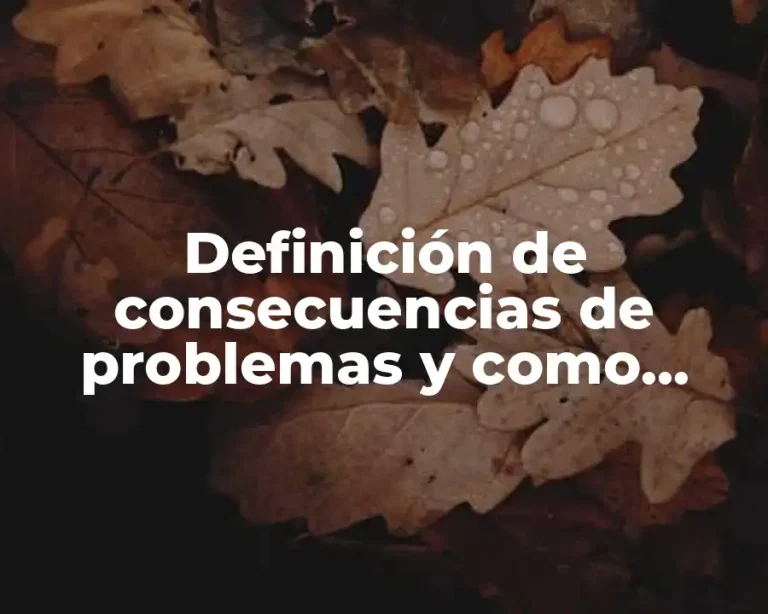 Definición de consecuencias de problemas y como solucionar