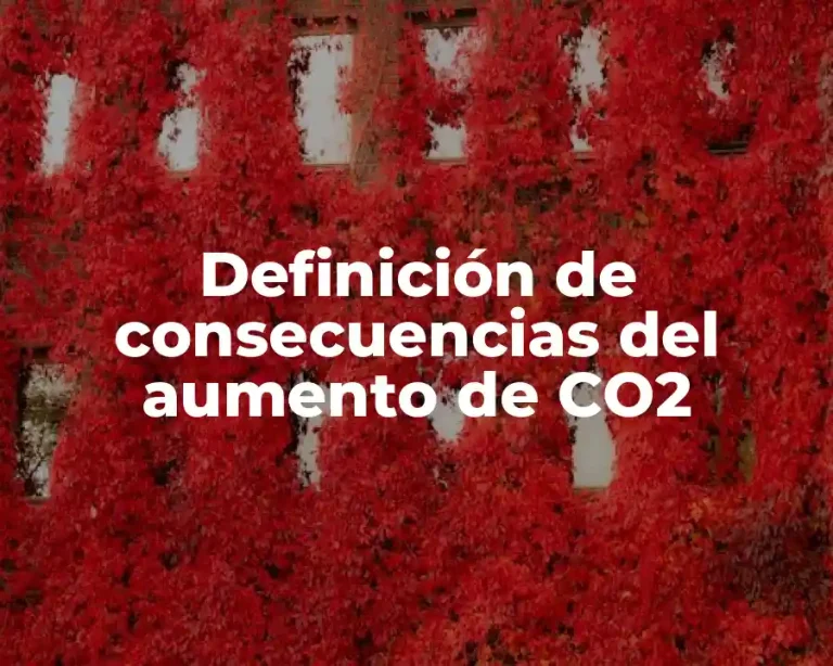 Definición de consecuencias del aumento de CO2