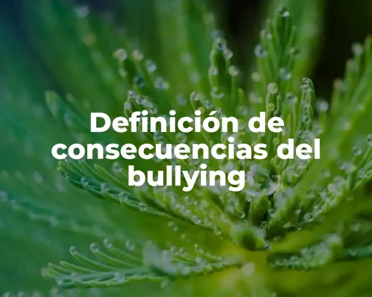 Definición de consecuencias del bullying