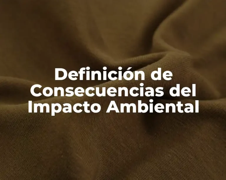 Definición de Consecuencias del Impacto Ambiental