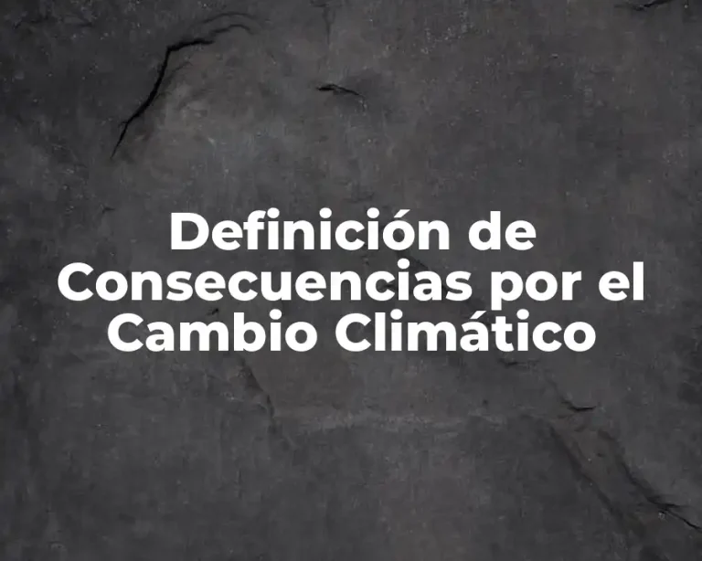 Definición de Consecuencias por el Cambio Climático